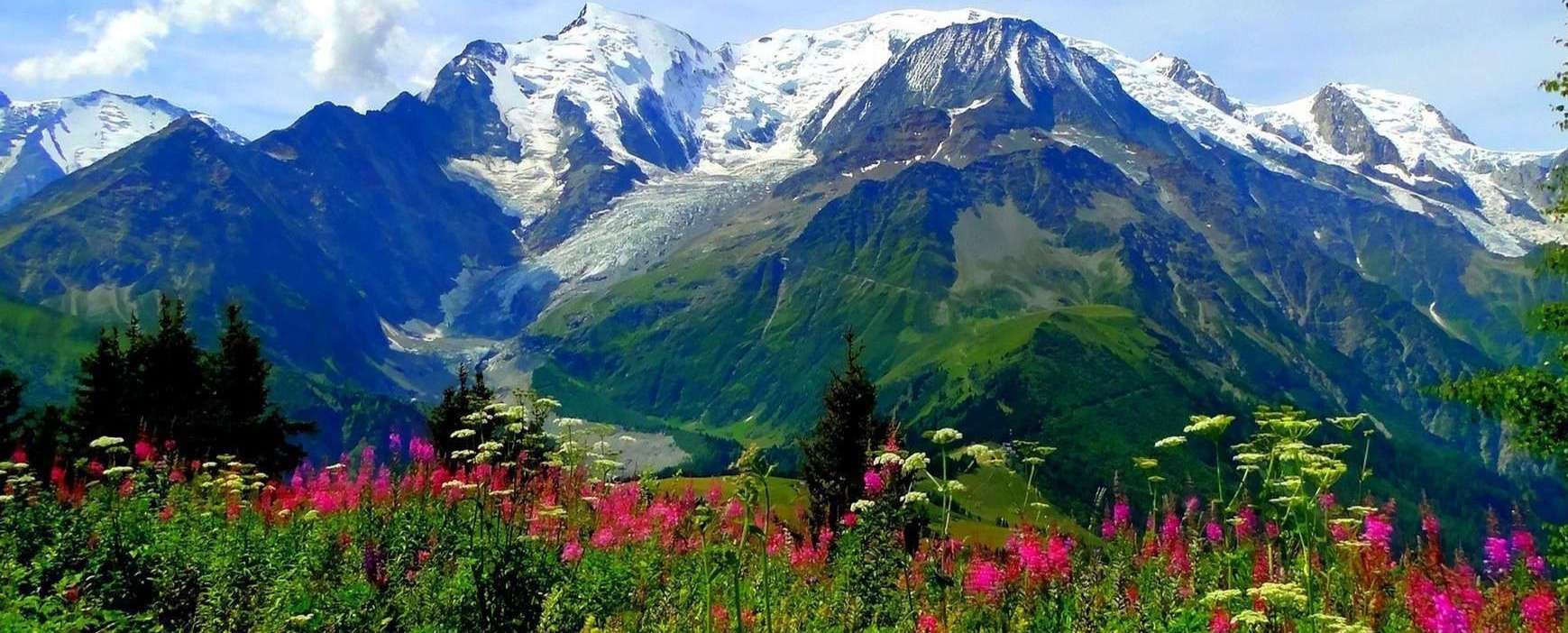 Valley of Flowers: Walking Through a UNESCO Dreamscape