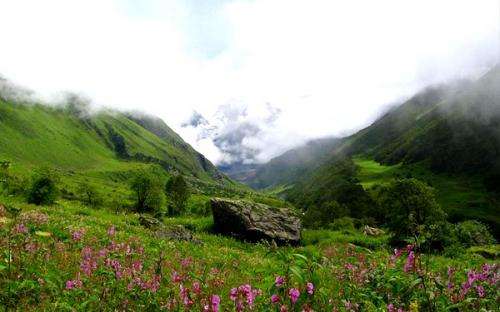 Valley of Flowers Trekking 2026
