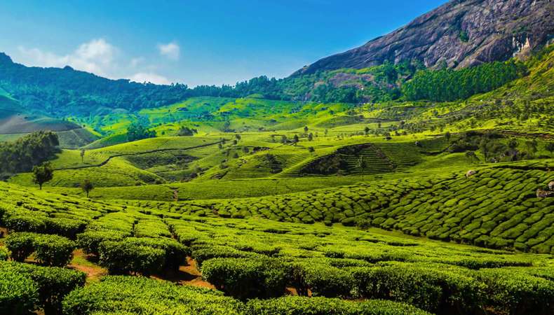 National Munnar Family Camping cum Training 2026 (By Tamil Nadu State Branch)
