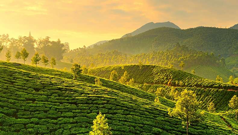 National Munnar Family Camping cum Training 2026 (By Tamil Nadu State Branch)