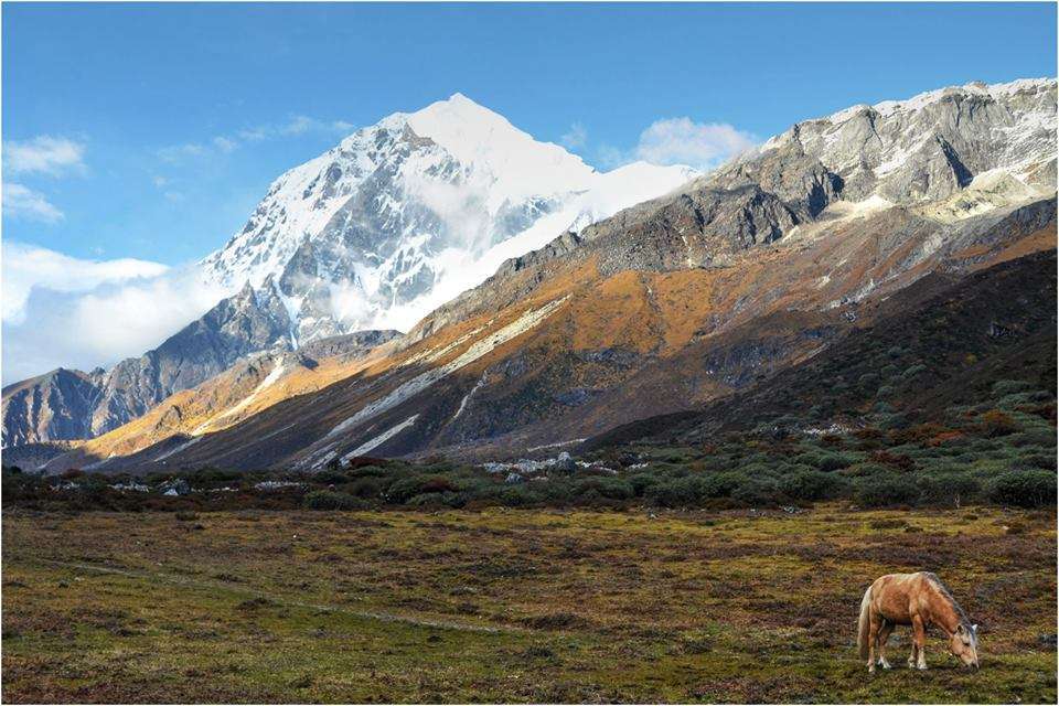 East Sikkim-Family Camping 2026 (By Tamil Nadu State)