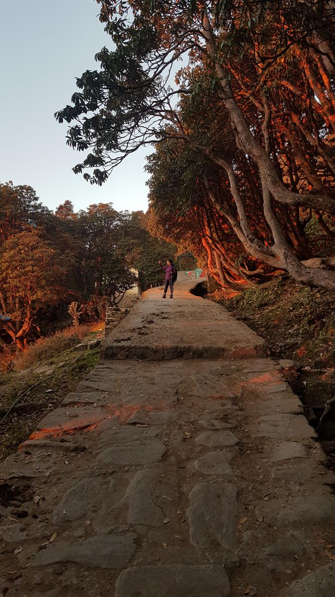 Deoriatal-Chopta-Tungnath-Chandrashila Expedition 2026