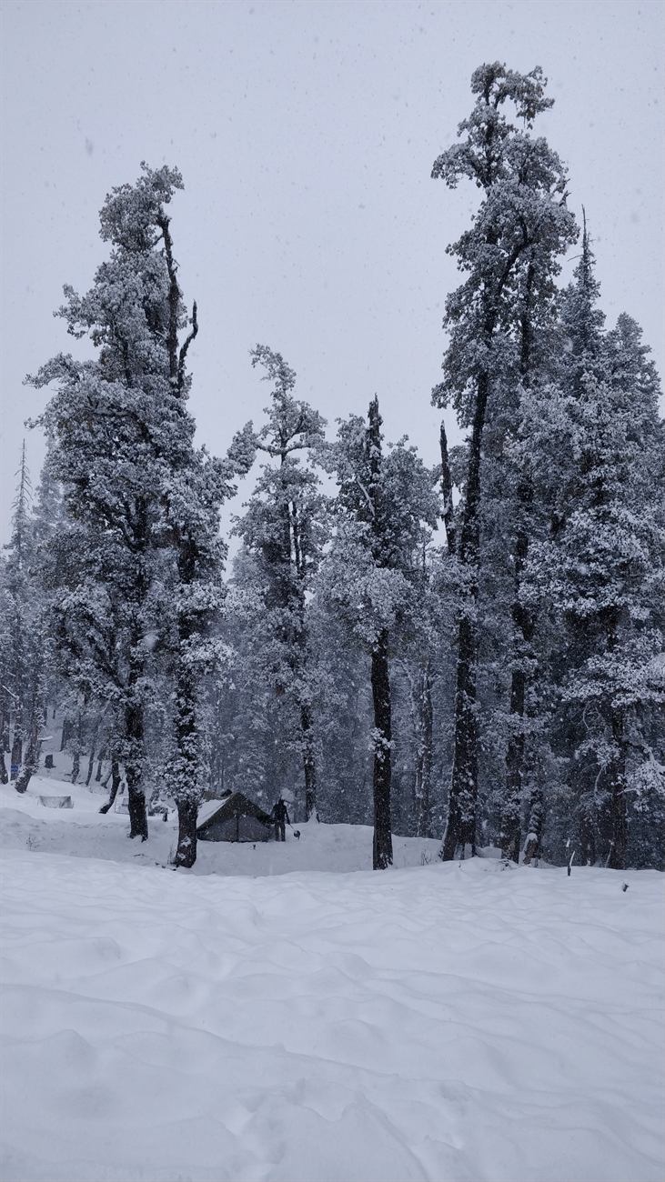 National Himalayan Kedarkantha Winter Trekking cum Training Expedition 2026-27