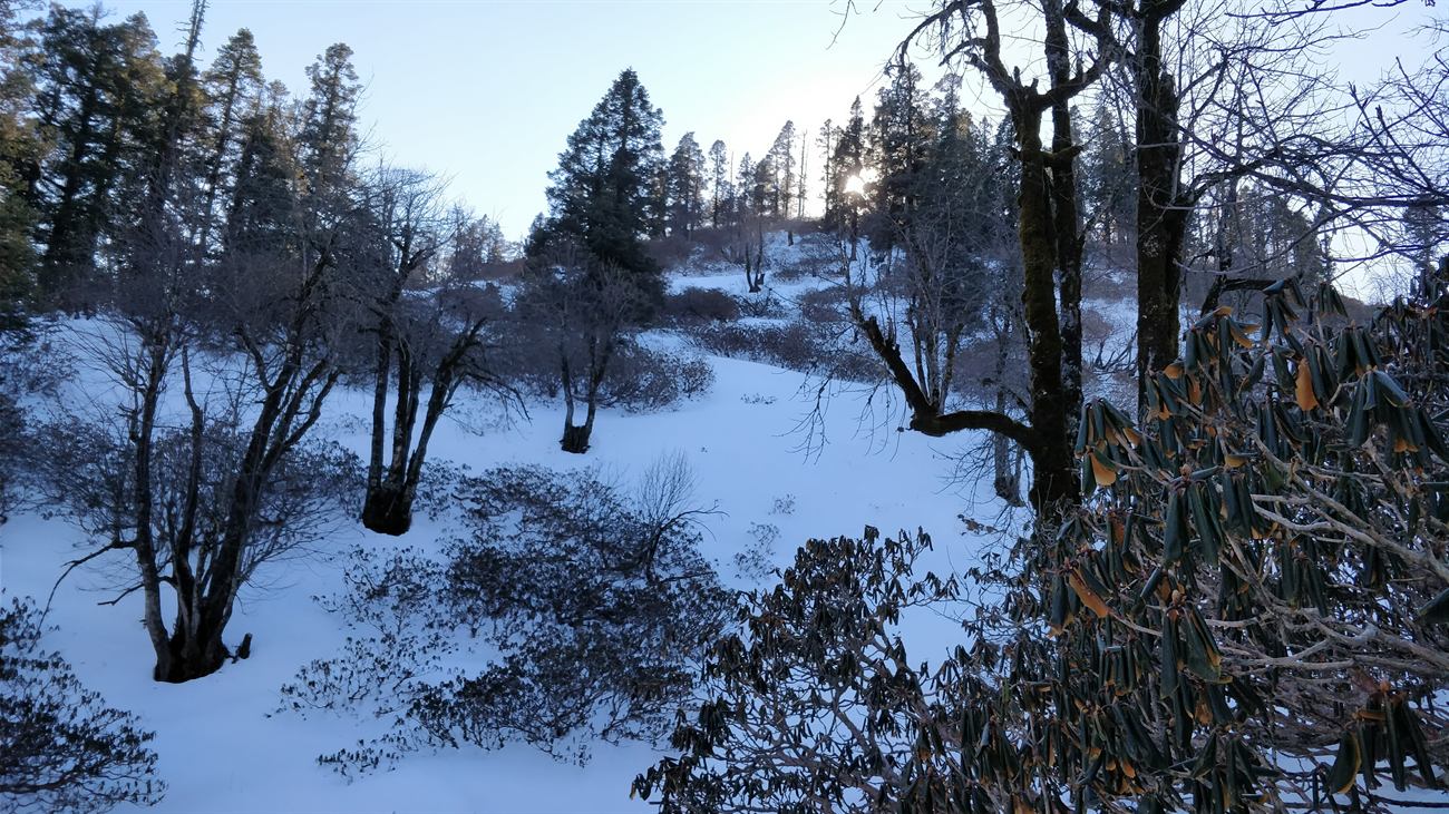 National Himalayan Kedarkantha Winter Trekking cum Training Expedition 2026-27