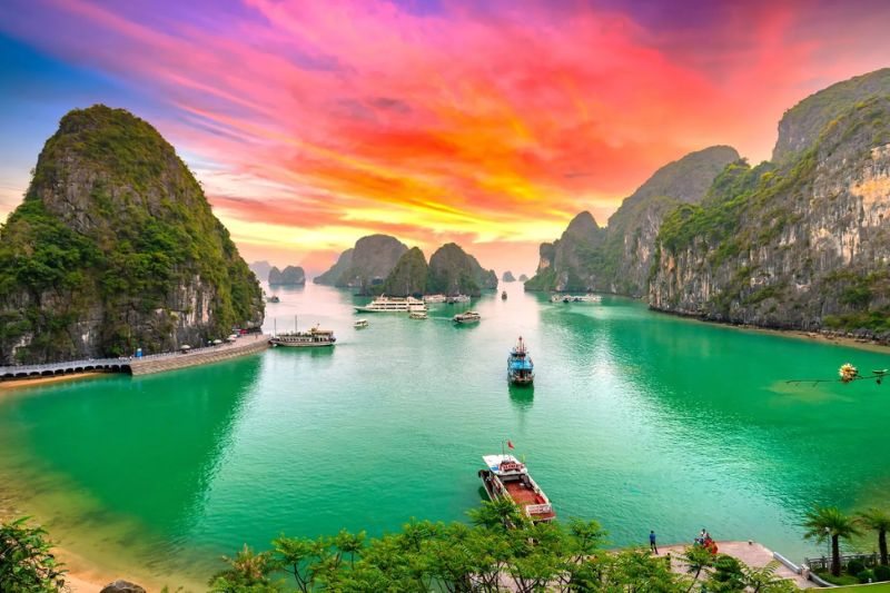Northern Vietnam International Tour 2026 (By Delhi State Branch)